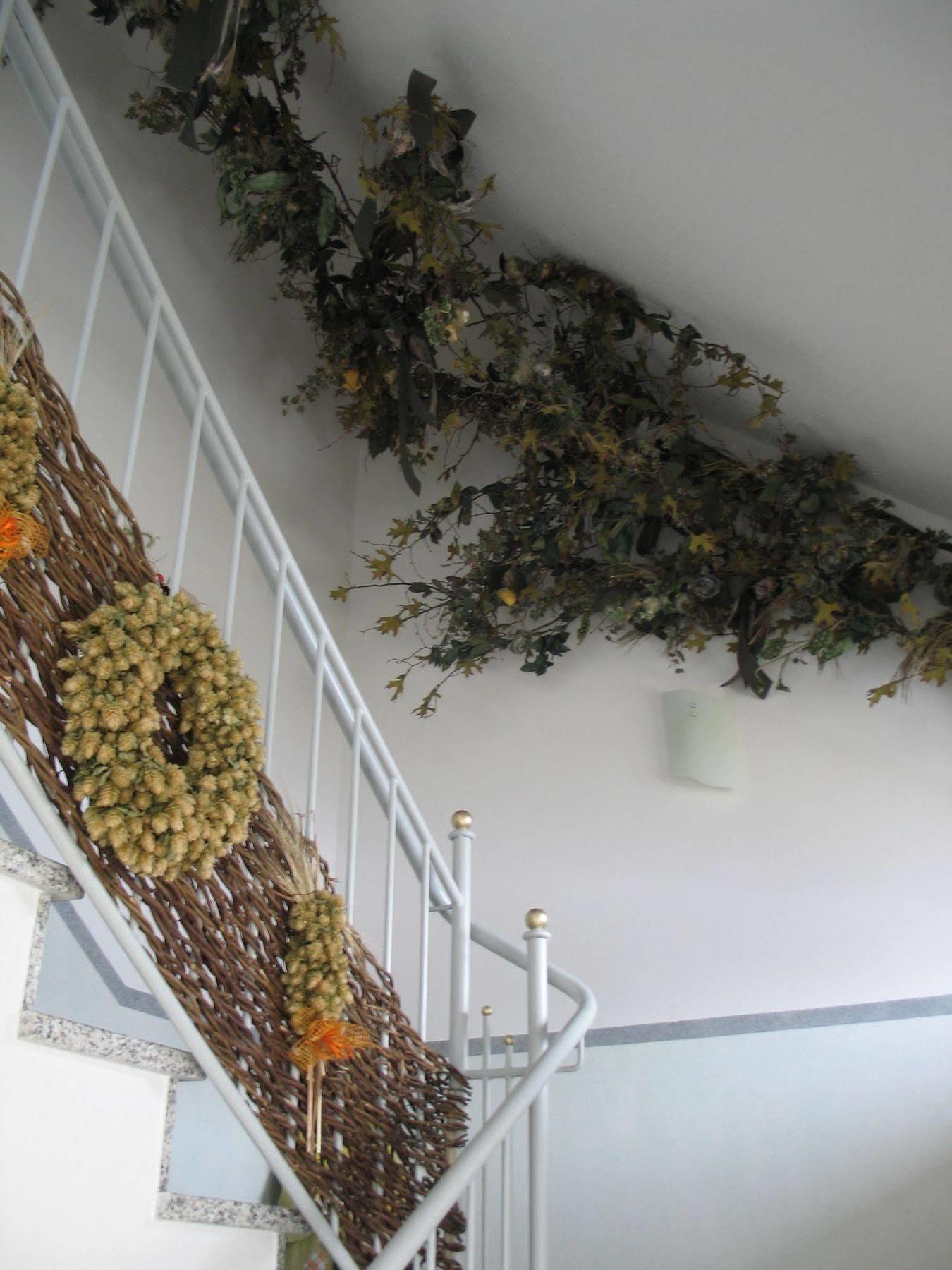 Hotel Garni Hopfengold Wolnzach Extérieur photo